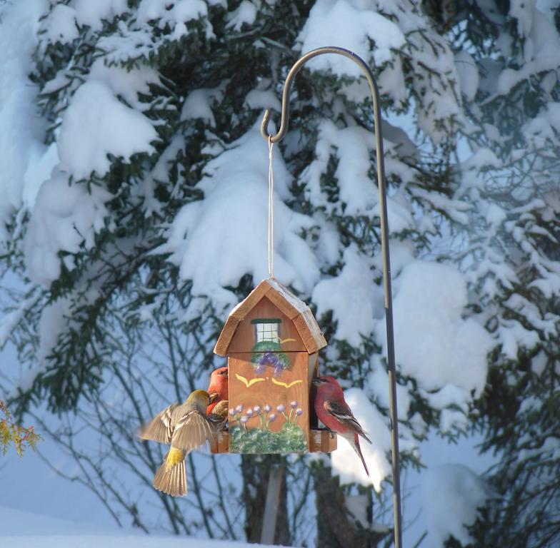 Gite De La Riviere Bed & Breakfast Chibougamau Exterior photo